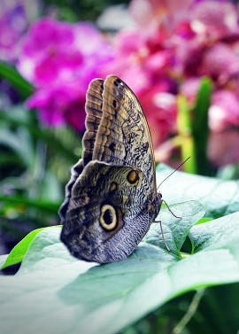 Biosphäre Potsdam