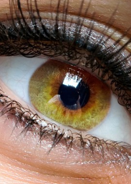 Wimpernverlängerung von der SKINLOUNGE Potsdam