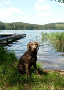 NaturCampingplatz am Springsee Gutschein „Winterzauber am Springsee“