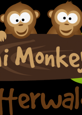 Mini Monkey Kletterwald