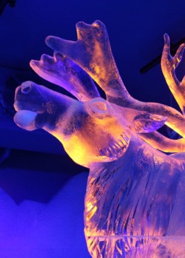 ANGIYOK – The Arctic Experience