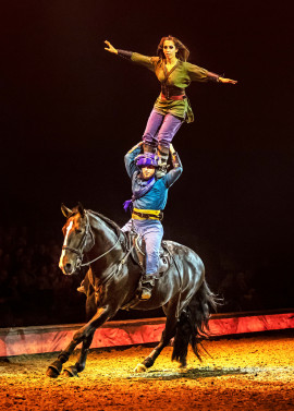 2 x CAVALLUNA - Legende der Wüste  2 Tickets für Sonntag, 12.01.20, 14:00 Uhr