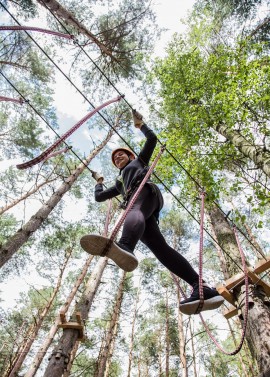 CLIMB UP! - Kletterwald 50€ Wertgutschein