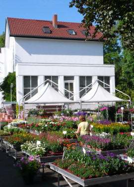 Hermann Rothe Gartenbau