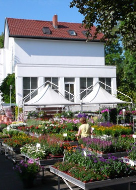 HERMANN ROTHE GARTENBAU