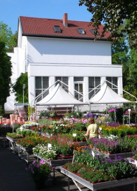 Hermann Rothe Gartenbau