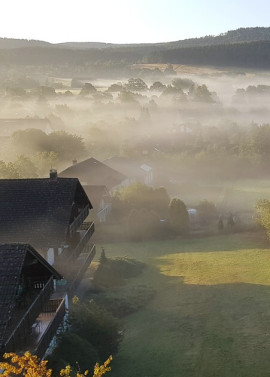 Familienurlaub im Harz – 3 Nächte im Hotel Der Wolfshof