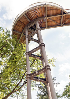 Baumkronenpfad Beelitz-Heilstätten, ein Weg über den Bäumen.